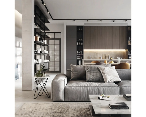 Salon moderne avec canapé gris, table basse et étagères ouvertes