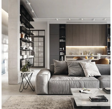 Salon avec canapé, table basse et étagères