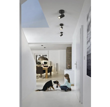 Innenaufnahme eines Flurs mit Deckenspots, einer spielenden Person mit Hund und einem Esszimmer im Hintergrund