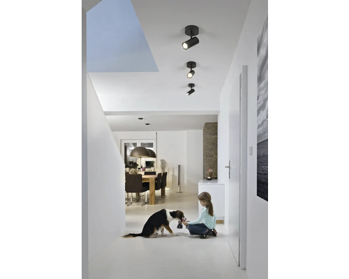 Innenaufnahme eines Flurs mit Deckenspots, einer spielenden Person mit Hund und einem Esszimmer im Hintergrund