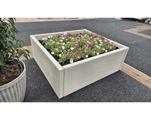Jardinière carrée en béton avec fleurs