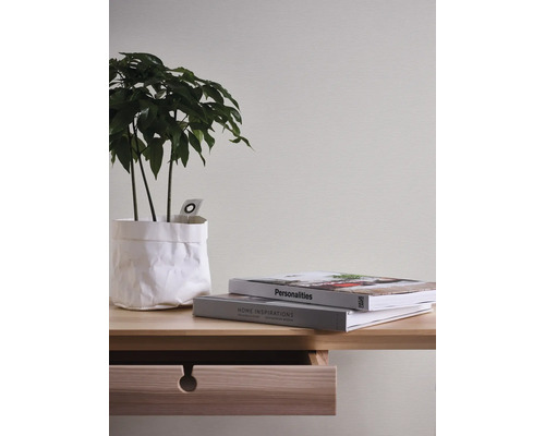 Dekorative Zimmerpflanze in weissem Übertopf auf einem Holztisch mit Büchern.