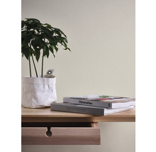 Gros plan d''un bureau en bois avec une plante et des livres