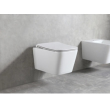 WC suspendu avec couvercle et bidet dans la salle de bain