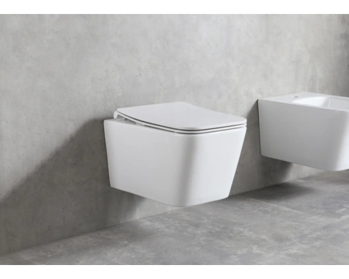 WC suspendu avec couvercle et bidet dans la salle de bain