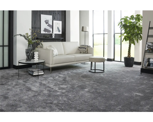 Wohnzimmer mit grauem Teppich, Sofa, Tisch und Zimmerpflanze