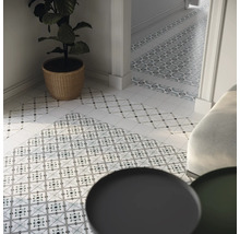 Couloir avec carrelage à motifs, plante en pot et meubles