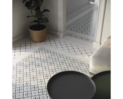 Couloir avec carrelage à motifs, plante en pot et meubles