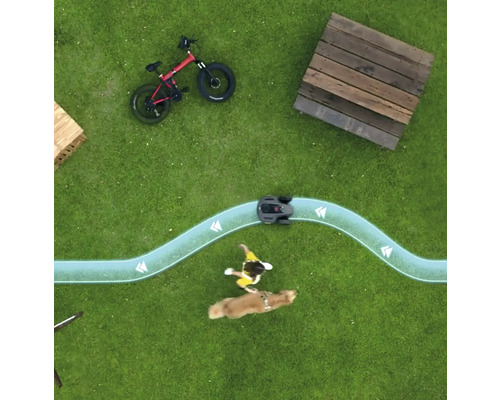 Ansicht von oben: Rasen mit Mähroboter, Kind auf Hund und Fahrrad.