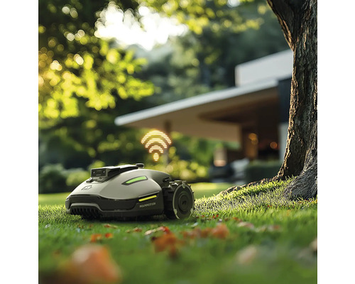Mähroboter auf Rasen vor einem Baum und einem Haus