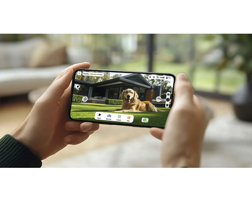 Eine Person hält ein Smartphone in der Hand, auf dessen Bildschirm ein Hund im Garten zu sehen ist.