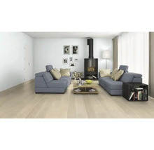 Salon avec canapés gris, poêle à bois, table basse et parquet clair