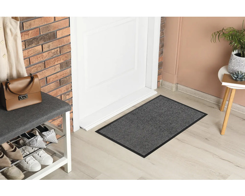 Scène avec un paillasson devant une porte, une étagère à chaussures et des objets décoratifs.