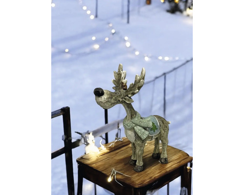 Élan décoratif avec écharpe comme décoration de Noël