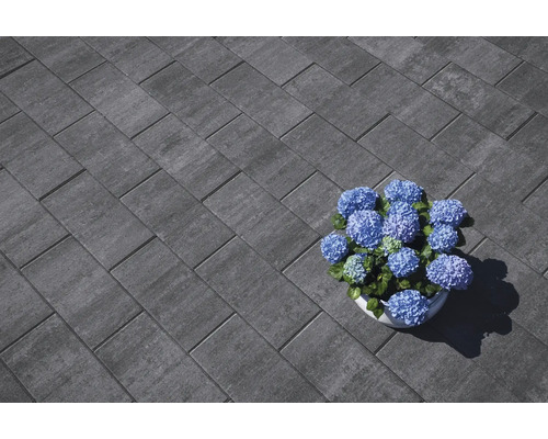 Pavés gris en motif à chevrons avec des hortensias bleus en pot.