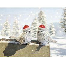 Deux oiseaux décoratifs avec des bonnets de Noël