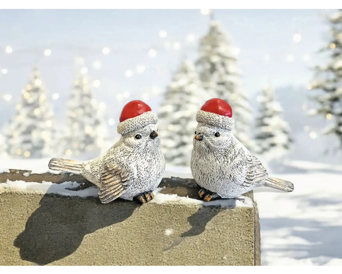Deux oiseaux décoratifs avec des bonnets de Noël