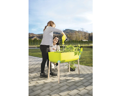 Une personne arrose des plantes dans un potager surélevé avec un arrosoir pendant qu''une autre personne regarde. Jardinage en extérieur.