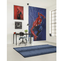 Vue d''une pièce avec bureau, chaise, fresque murale Spiderman et tapis