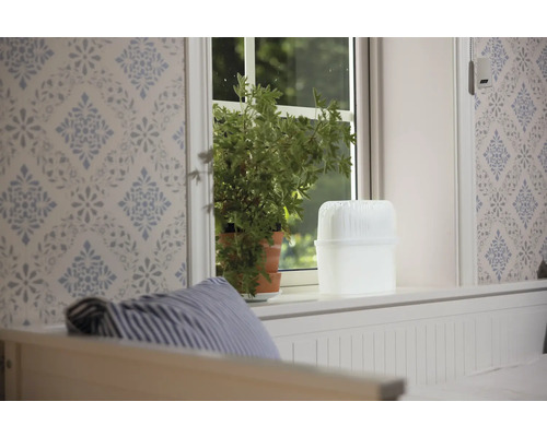 Pièce décorative avec plante d''intérieur, humidificateur et papier peint à motifs.