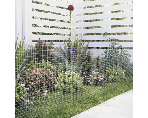 Scène de jardin avec clôture grillagée, plantes et pelouse