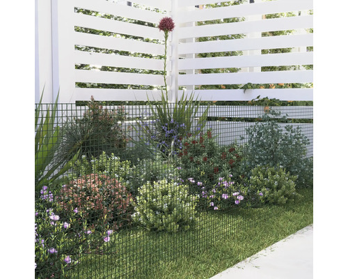 Scène de jardin avec clôture, plantations et pelouse