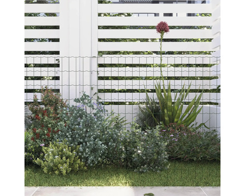 Scène de jardin avec clôture et végétation luxuriante