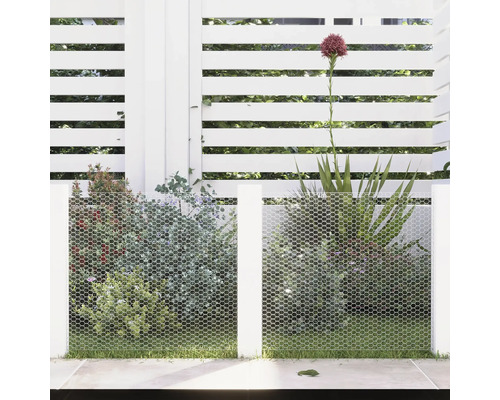 Gartenszene mit weissem Zaun, Maschendrahtzaun und Bepflanzung