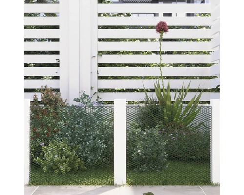 Scène de jardin avec pare-vue, plantation et gazon