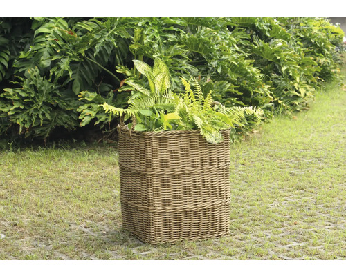 Jardinière en osier avec plantes dans le jardin