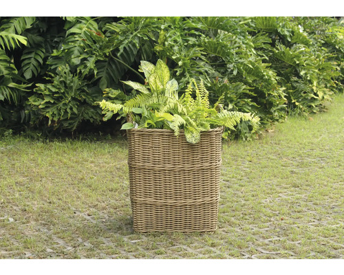 Pot de fleurs tressé avec des plantes dans le jardin.