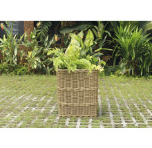 Panier à plantes en rotin avec plantes vertes dans le jardin