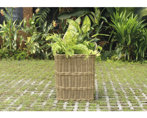 Panier à plantes en rotin avec plantes vertes dans le jardin
