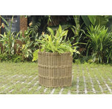 Cache-pot tressé avec des plantes dans le jardin.