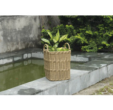Panier à plantes tressé avec poignée et plante