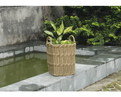 Panier à plantes tressé avec poignée et plante