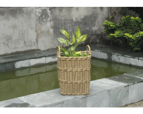Panier à plantes décoratif en rotin avec plantes sur une terrasse en pierre
