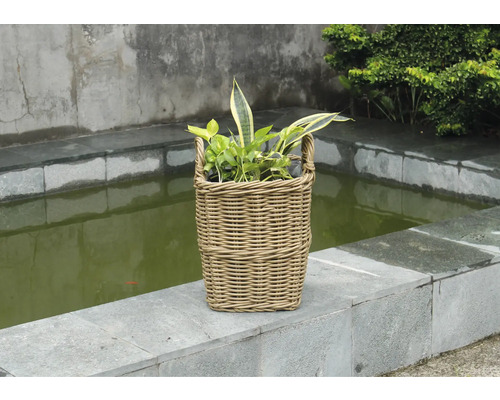 Panier à plantes tressé avec des plantes devant un bassin de jardin