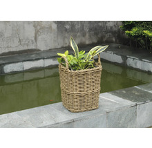 Panier à plantes en rotin avec poignées