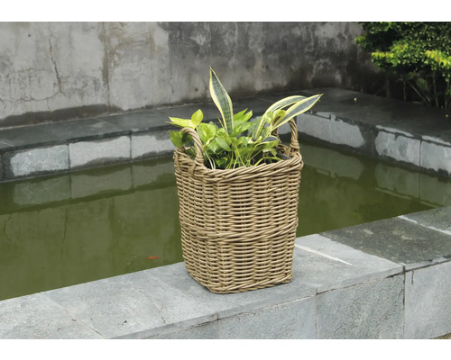 Panier à plantes en rotin avec poignées