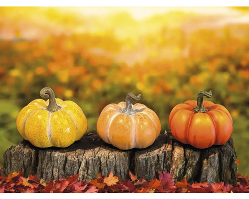 Drei Kürbisse auf einem Baumstumpf als Herbstdekoration
