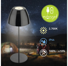 Akkuleuchte mit den Symbolen: Akku, Unplugged, 2700 Kelvin, Schutzart IP44 und Dimmbarkeit.