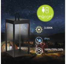 Schwarze Laterne mit 3.000 Kelvin, IP44 Schutzart und Unplugged Symbol