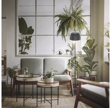 Wohnzimmer mit Sofa, Tischlampe und Zimmerpflanzen vor einem Fenster