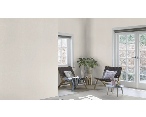 Heller Raum mit zwei Holzstühlen, Fenstern und Pflanze im Topf