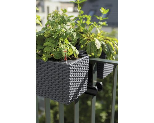 Balkonkasten mit Pflanzen, befestigt an einem Geländer.