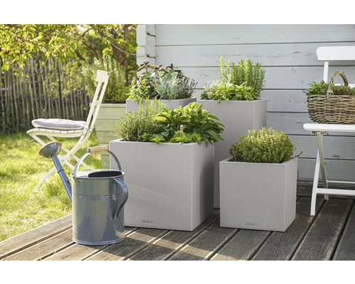 Trois jardinières carrées avec des herbes aromatiques et un arrosoir dans le jardin