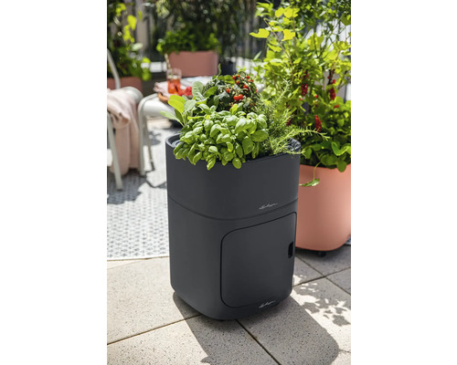 Hochbeet mit Kräutern und Gemüse auf einer Terrasse