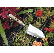 Gartenkelle aus Edelstahl mit Holzgriff zwischen Pflanzen