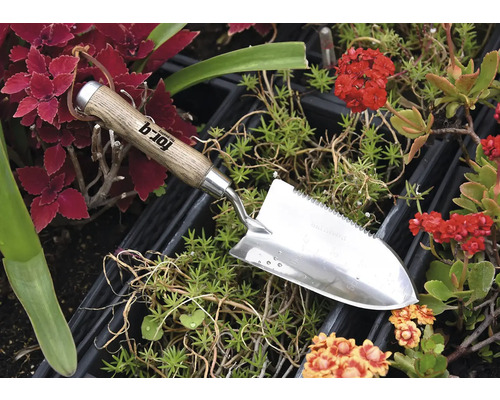 Gartenkelle aus Edelstahl mit Holzgriff zwischen Pflanzen